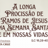 A longa Procissão de Ramos de Jesus na Semana Santa e em nossas vidas (LC 19,28-40)