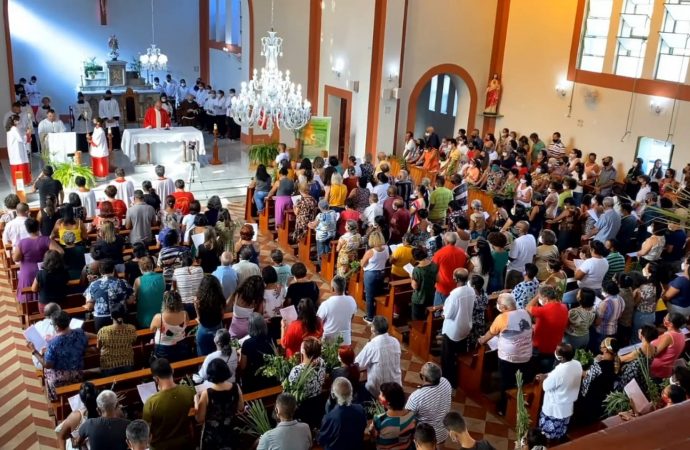 Confira em fotos como foram as celebrações do Domingo de Ramos em nossas Paróquias