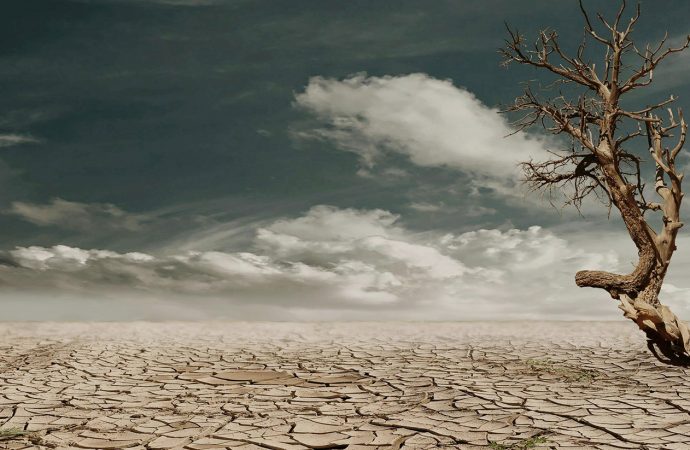 16 de março: Dia Nacional de Conscientização sobre as Mudanças Climáticas