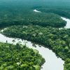 Dia da Amazônia: Um Chamado à Ação e à Preservação