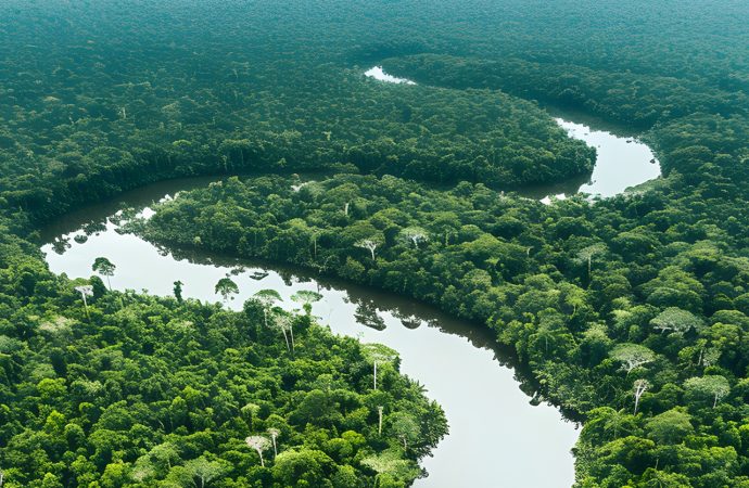 Dia da Amazônia: Um Chamado à Ação e à Preservação