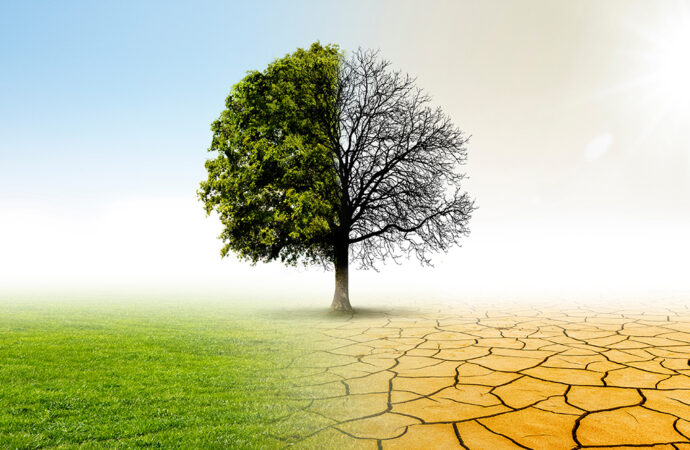 16 de março – Dia Nacional da Conscientização sobre as Mudanças Climáticas