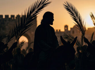 Domingo de Ramos nas Paróquias – Província Santa Cruz