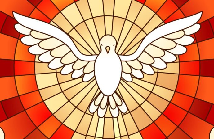 O Sopro do Espírito que renova a nossa Fraternidade