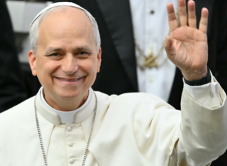 Leão XIV em seu primeiro ano de pontificado