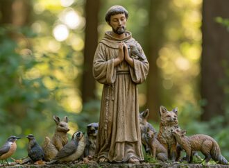 Tempo da Criação 2026: Papa Leão XIV une a&nbsp;ecologia e a busca pela paz&nbsp;