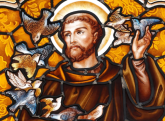 Louvado sejas, ó meu Senhor, com todas as Tuas criaturas…&nbsp;