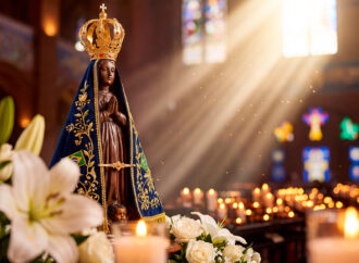 Nossa Senhora da Conceição Aparecida:<strong> </strong>sob o poder do Espírito Santo que não se deixa instrumentalizar