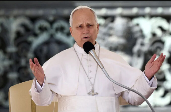 Papa recorda São Francisco: grande operário na vinha do Senhor!